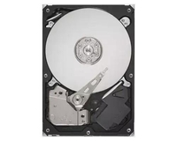 Lenovo 2, 5 Zoll HDD 300GB 15K SAS 12Gb Hot Swap 512n (7XB7A00021)