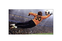 LG 49VL5G-M Digital Signage Videowall Display 123 cm 49 Zoll