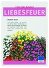LMG Laminierfolien Folient.216x303-A4 100mic 100S glänzend 100 mikron A4