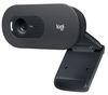 Logitech C505 HD Webcam