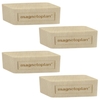 magnetoplan Magnete Design Wood Magnete Birke 4st Braun
