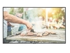 NEC Digital Signage MultiSync C431 LCD-Display 107, 9 cm (43") schwarz