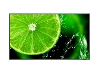 NEC MultiSync E498 Digital Signage Display 108 cm (49 Zoll)