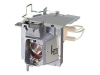 NEC Projektorlampe für NEC V302W,  V302X