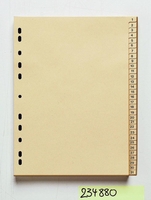 neutral Register Papier-Register 1-31 10x Vf A4 chamois