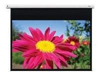 Optoma DE-1123EGA motorisierte Leinwand Wand-/Deckenmontage,  16:10,  (123") 312 cm