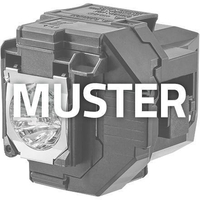Optoma Projektorlampe FX.PQ484-2401 für DS303,  DS328,  DS330,  DX330,  DX5100,  S303, W303,  X303