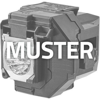Optoma Projektorlampe SP.72701GC01 für EH319UST,  EH319USTi,  EH320UST, EH320USTi,  W319USTi,  W319USTir