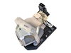 Optoma Projektorlampe SP.8VC01GC01 für HD131Xe,  HD25e