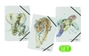 PAGNA Eckspanner Pagna Eckspanner A4 No.3fs 3St DIN A4 Elefant,  Tiger,  Schildkröte