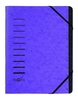 PAGNA Ordnungsmappe Pagna Ord.Mappe 12tlg ae DIN A4 12-Fach Violett