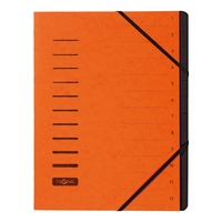 PAGNA Ordnungsmappe Pagna Ord.Mappe 12tlg orange DIN A4 12-Fach Orange