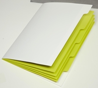 PAGNA Ordnungsmappen Ordnungsm.whiteTrend PP fs 5St DIN A4 5-Fach farbsortiert