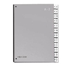 PAGNA Pultordner A-Z - silber