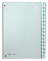 PAGNA Pultordner Pultordner 1-31 silber DIN A4 32 Taben silber