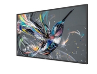 Philips 50BDL3511Q Signage Display 125, 7 cm (50 Zoll)