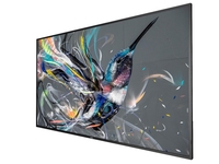 Philips 65BDL3511Q Signage Display 163, 9 cm (55 Zoll)