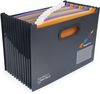 RAPESCO® Fächermappe Rapesco Fächermappe A4 DIN A4 13-Fach Schwarz