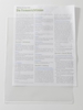 RAPESCO® Sichthüllen DIN A4 transparent genarbt 0.1 mm