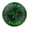 Razer Team Razer Floor Mat,  schwarz-grün