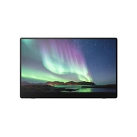Ricoh 150 mobiler Multi-Touch Monitor 39, 60cm (15, 6")