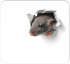 RNK-Verlag Mousepads Mausi 30 weiß/grau