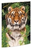 RNK-Verlag Zeichenmappen RNK Zeichenm. A3 Tiger 1St A3 Tiger