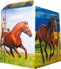 RNK-Verlag Zeichenmappen RNK Zeichenm. Free Horses,  A3 A3 Pferde