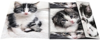 RNK-Verlag Zeichenmappen RNK Zeichenmappe Katze,  A3 A3 Katze