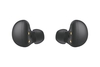 Samsung Galaxy Buds2 (Graphite)