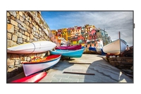 Samsung Smart Signage PM49H LCD-Display 123 cm (49") schwarz (LH49PMHPBGC/EN)