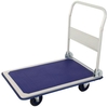 SECO Plattformwagen 300kg