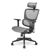 Sharkoon OfficePal C30M (Bürostuhl,  grau)