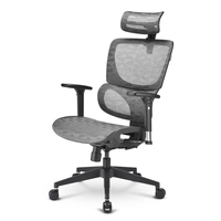 Sharkoon OfficePal C30M (Bürostuhl,  grau)