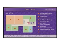 Sharp PN-R426 Digital Signage (42") 106, 47cm LED-Display