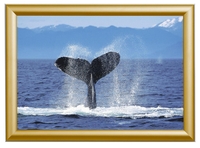Showdown® Displays Klapprahmen Klapprahmen A1 gold 62, 5 x 87, 2 cm gold