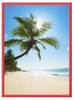 Showdown® Displays Klapprahmen Klapprahmen A4 rot 24, 1 x 32, 8 cm rot