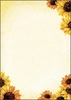 SIGEL Briefpapier Motiv-Papier Field of Sun A4 DIN A4 90 g/m²