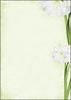 SIGEL Briefpapier Motiv-Papier Green Flower DIN A4 90 g/m²