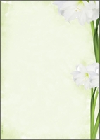 SIGEL Briefpapier Motiv-Papier Green Flower DIN A4 90 g/m²