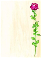 SIGEL Briefpapier Motiv-Papier Rose Bloom A4 DIN A4 90 g/m²