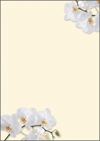 SIGEL Briefpapier Motiv-Papier White Orchid,  A4,  DIN A4 90 g/m²
