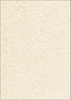 SIGEL Briefpapier Struktur-Pap.Perga-Champagne DIN A4 200 g/m²