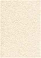 SIGEL Briefpapier Struktur-Pap.Perga-Champagne DIN A4 200 g/m²