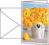 SIGEL Grußkarten Faltkarte Ranunculus,  A6 DS104 DIN A6