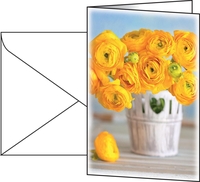 SIGEL Grußkarten Faltkarte Ranunculus,  A6 DS104 DIN A6