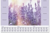 SIGEL Schreibtischunterlage Lavendel Papier lila