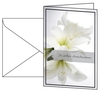 SIGEL Trauerkarten Trauerkarten weiße Amaryllis DS006 DIN A6