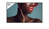 Sony Bravia FW-65BZ40L Professional Display 165cm (65")