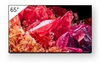 Sony Bravia FWD-65X95K Professional Display 164cm (65")